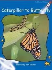 Red Rocket Readers: Early Level 3 Non-Fiction Set C: Caterpillar to Butterfly (Reading Level 11/F&P Level G)
