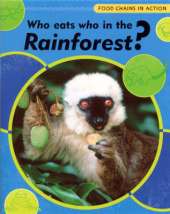Food Chains In Action: Who Eats Who In The Rainforest