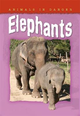 Animals In Danger: Elephants