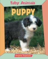 BABY ANIMALS PUPPY