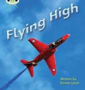 Bug Club Phonics Bug Non-fiction Set 16 Flying High