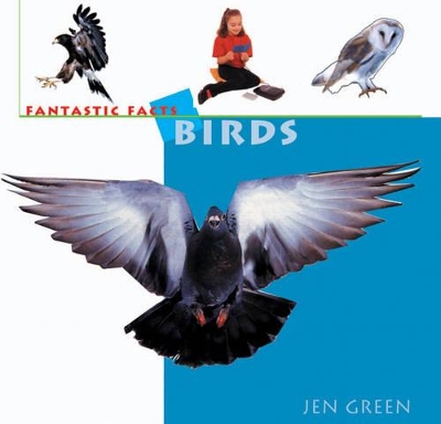 Birds: A Fascinating Fact File and Learn-it-yourself Project Book
