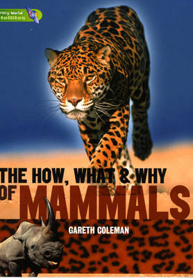 Literacy World Satellites Non Fiction Stage 3 Guided Reading Cards: The How, What and Why of Mammals Framework 6 Pack
