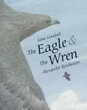 Eagle & The Wren, The
