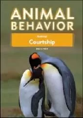 Animal Courtship