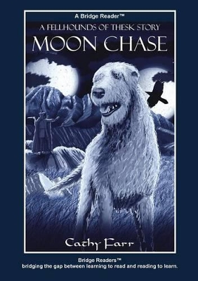 Moon Chase: Bridge Reader