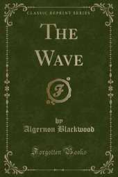 The Wave (Classic Reprint)