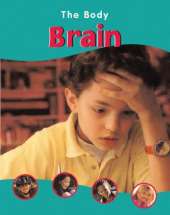 The BODY THE BRAIN