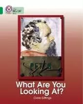 What Are You Looking At?: Band 15/Emerald