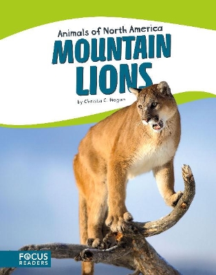 Animals of North America: Mountain Lions