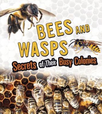 Bees and Wasps: Secrets of Their Busy Colonies
