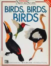 Birds, Birds, Birds!