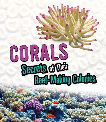 Corals: Secrets of Their Reef-Making Colonies