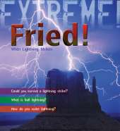 Extreme Science: Fried!: When Lightning Strikes