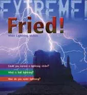 Extreme Science: Fried!: When Lightning Strikes
