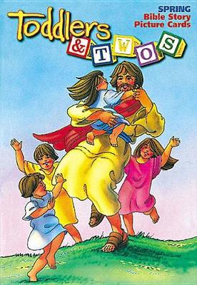Toddlers and Twos: Bible Story Picture Cards