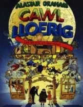Cawl Lloerig