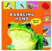 Babbling Pond