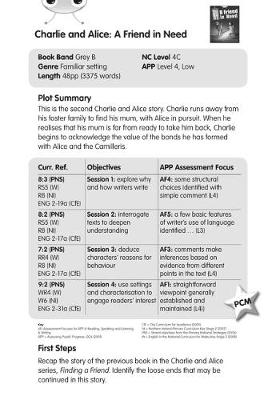 BC Grey B/4C Charlie and Alice A Friend In Need Guided Reading Cards