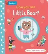 Can you see Little Bear?: Magic changing pictures