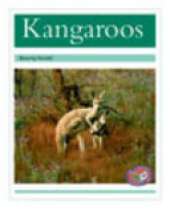 Kangaroos