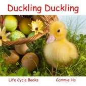 Duckling Duckling