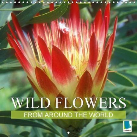 Wild Flowers from Around the World 2017: The Wild Siblings of Our Potted Friends