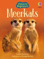 Meerkats