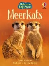 Meerkats