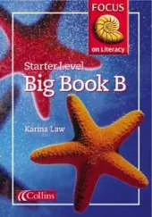 Starter Level Big Book B