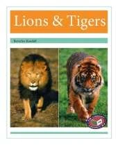 Lions & Tigers