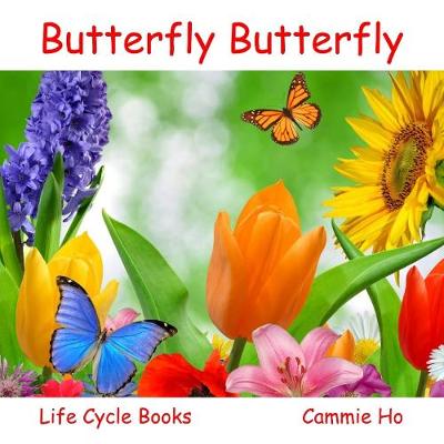 Butterfly Butterfly
