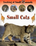 LOOKING AT SMALL MAMMALS SMALL CATS