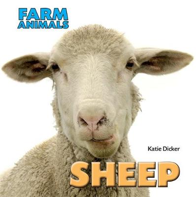 Sheep