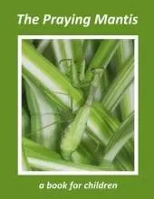 The Praying Mantis - a book for children: The tiny hunter