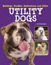 Dog Files Pack A of 7