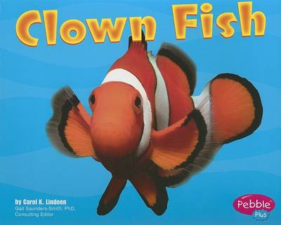 Clown Fish
