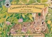Cottontail at Clover Crescent