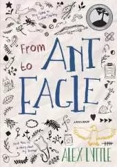 From Ant to Eagle