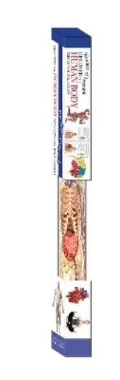 Discover the Human Body