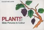 Bible Plants