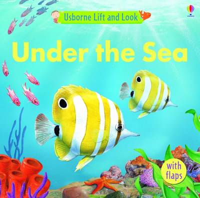 Usborne Lift and Look Under the Sea