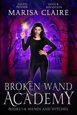Broken Wand Academy: Books 1-4: Wands and Witches Box Set (Veiled World)