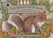 Gray Squirrel at Pacific Avenue