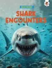 Shark Encounters