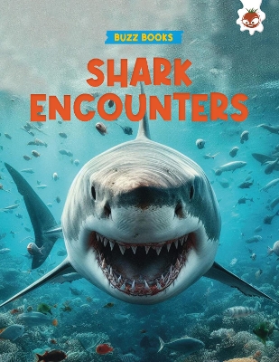 Shark Encounters