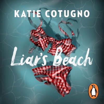 Liar's Beach: The unputdownable thriller of the summer