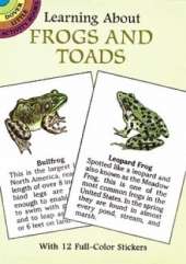 Learning About Frogs and Toads