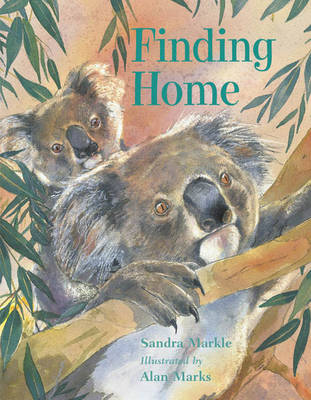 Finding Home