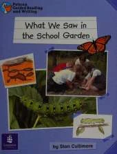 Pelican Guided Reading and Writing Year 1 What We Saw In The School